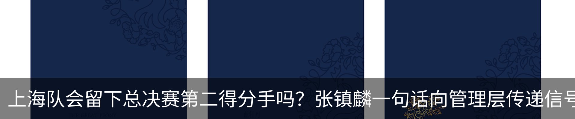 新闻动态