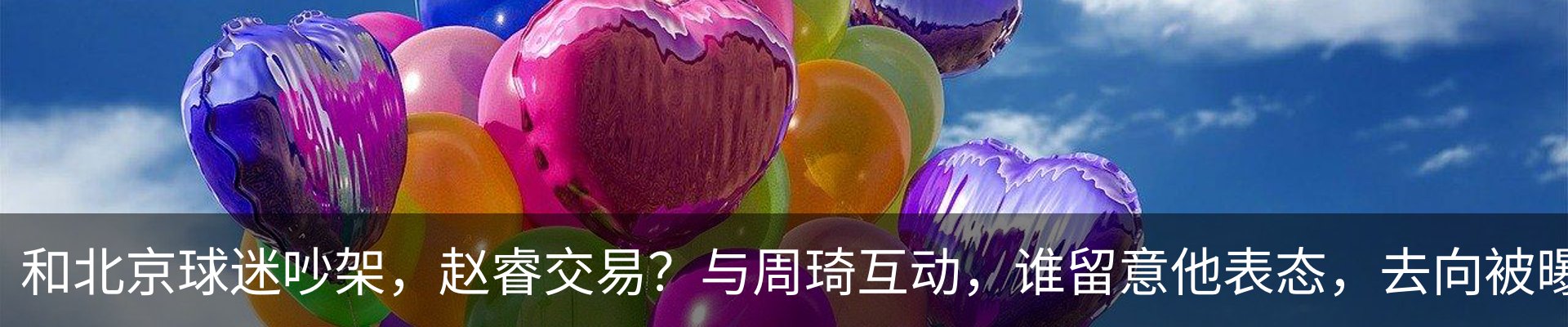 新闻动态