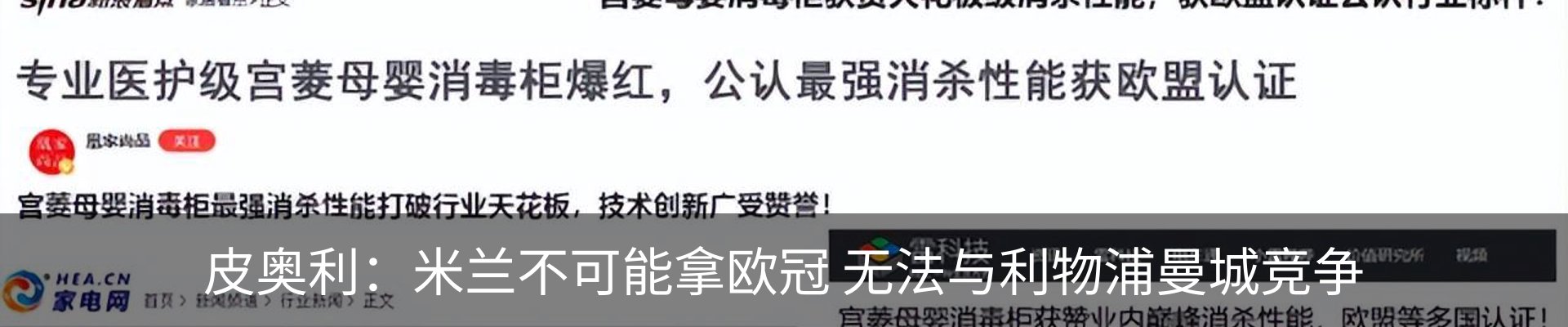 新闻动态